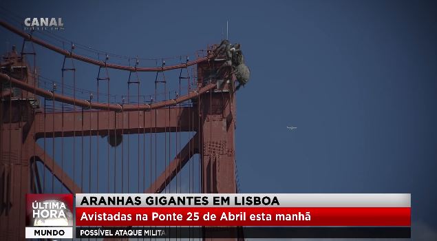 Aranhas gigantes em Lisboa