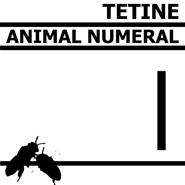 Tetine Animal Numeral capa
