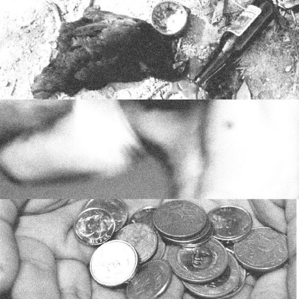 moedas2