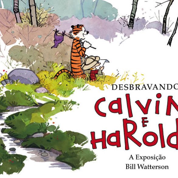 AF Capa Calvin 18 Desbravando