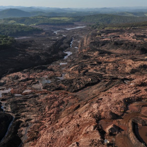 brumadinho felipe werneck ibama