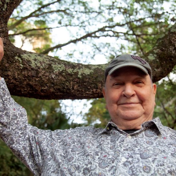 donato pedro palhares