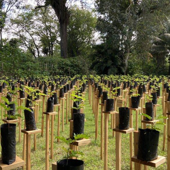 IMG 7995 scaled e1685464677299