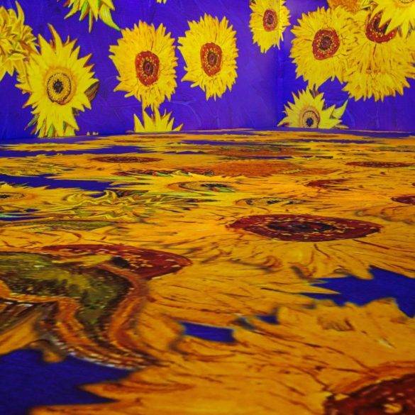 vangogh1 credito vinicius lubambo