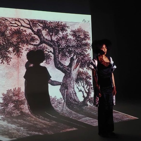 8f4a6469 3615 41fd 95de 50ce7ca47e96