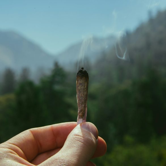 maconha jeff w tLulTV2 D4 unsplash