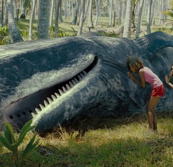 cartaz Sem Coracao em baixa