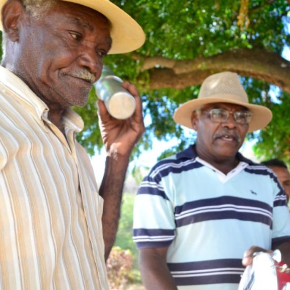 Copia de Post Noticias Padrao 15