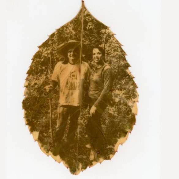 Copia de Post Noticias Padrao 7