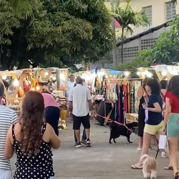 brasilidades feira criativa