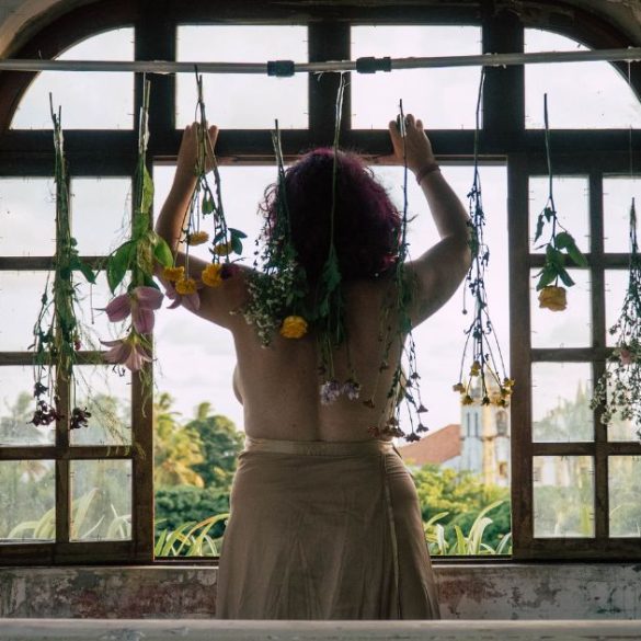 Copia de Post Noticias Padrao 7 3