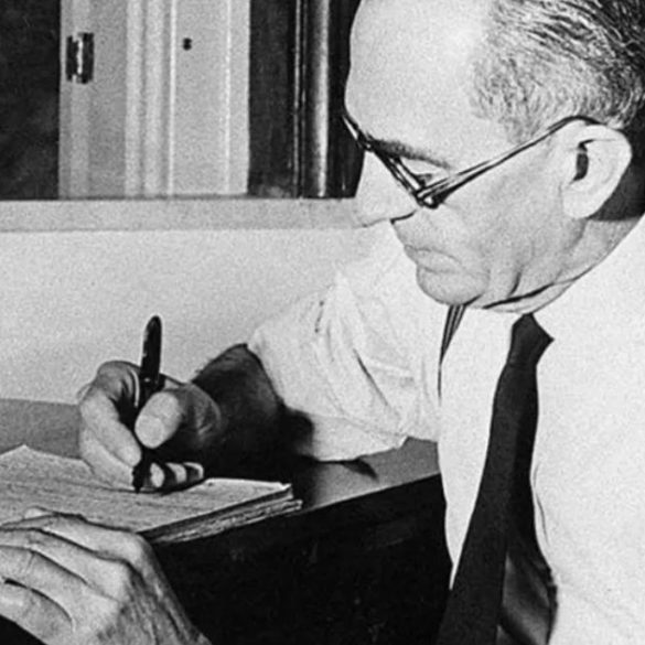 Copia de Imagem post padrao 1 1