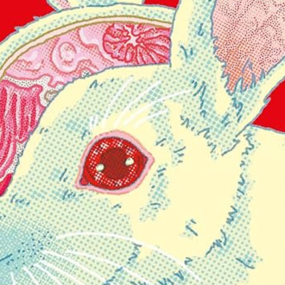 Copia de Post Noticias Padrao 54 1