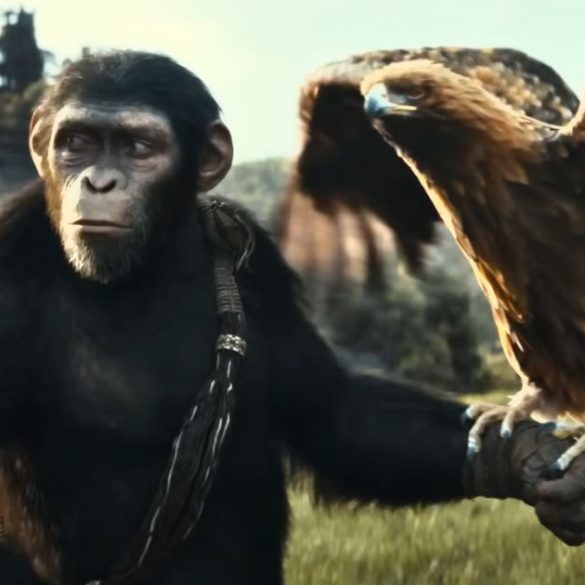 Copia de Imagem post padrao 2 3