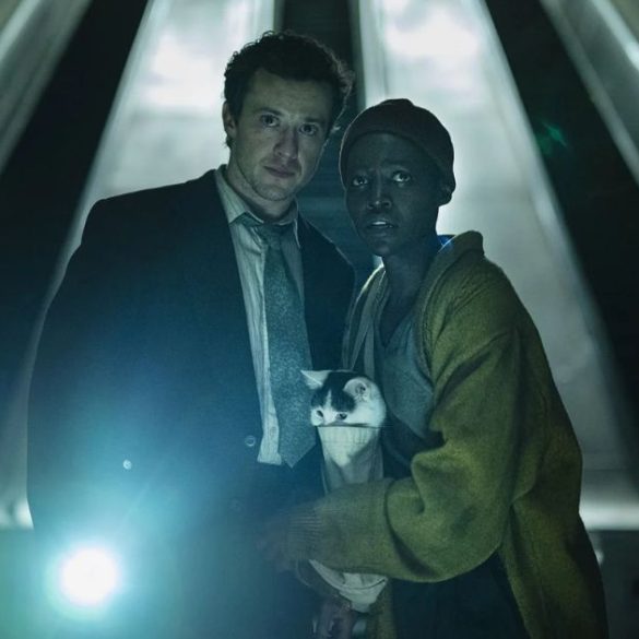 Copia de Imagem post padrao 1 12