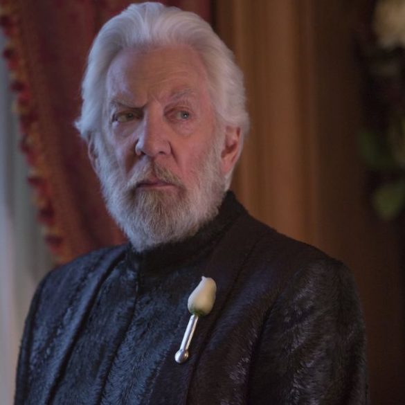 Copia de Imagem post padrao 3 5