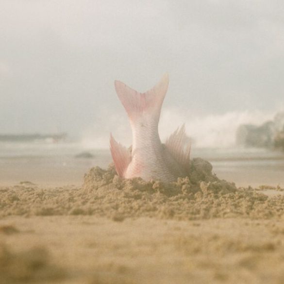 Copia de Imagem post padrao 9