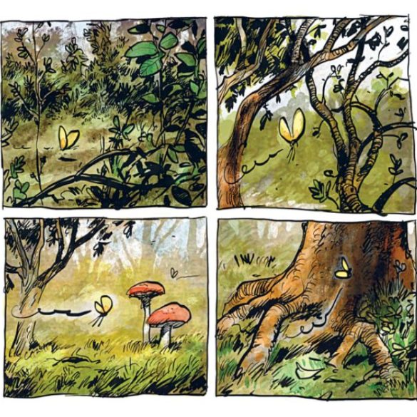 Copia de Imagem post padrao 2 11