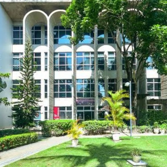 Copia de Imagem post padrao 1