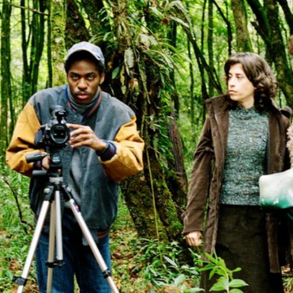 Copia de Imagem post padrao 30