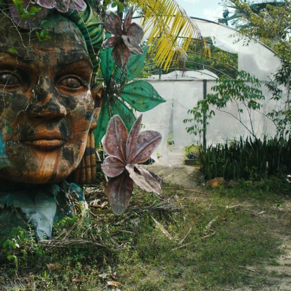 Copia de Copia de Post Noticias 17