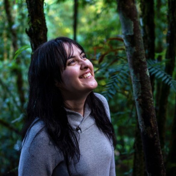 Copia de Imagem post padrao 1 1