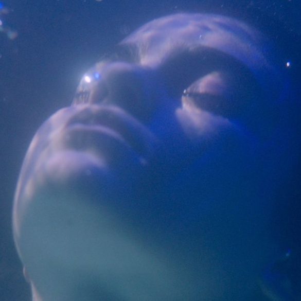 Copia de Imagem post padrao 7