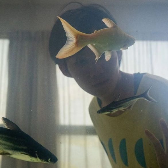 Copia de Imagem post padrao 1 5