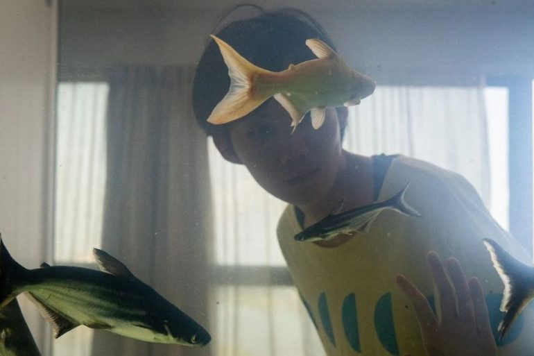 Copia de Imagem post padrao 1 5