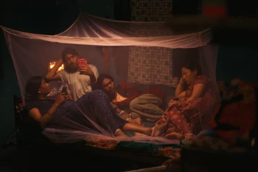 ElephantsInTheFog PromotionalImage UT