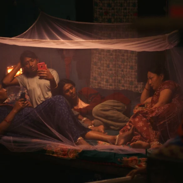 ElephantsInTheFog PromotionalImage UT