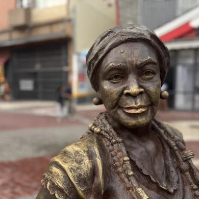 IMG 3381 1 2048x1536 jpg